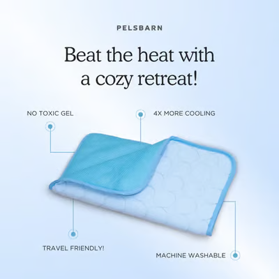 Pet cooling pad