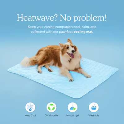 Pet cooling pad