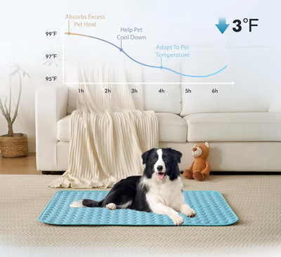 Pet cooling pad