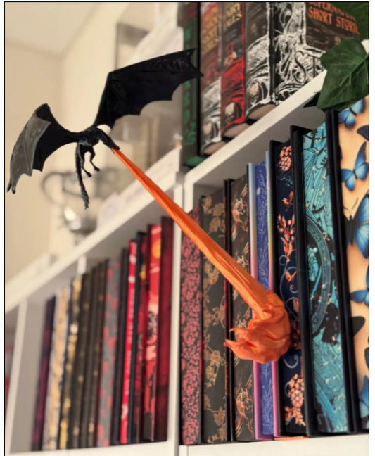 Dragon *Wyvern* Flame Book Nook