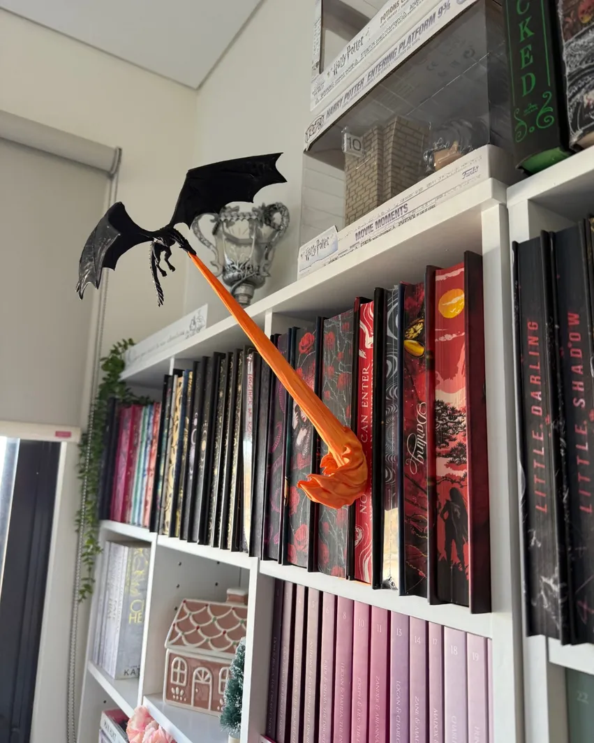 Dragon *Wyvern* Flame Book Nook